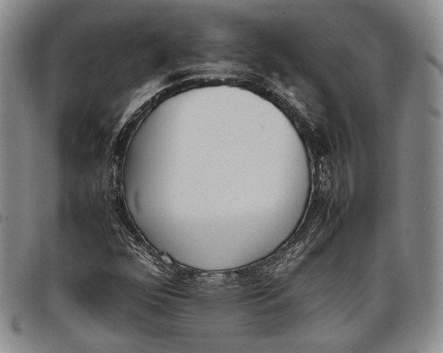 X0000097981352200804141107