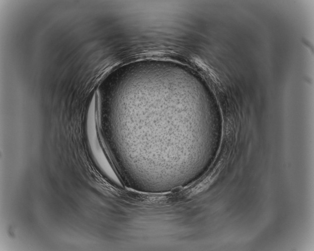 X0000097981353200804141107