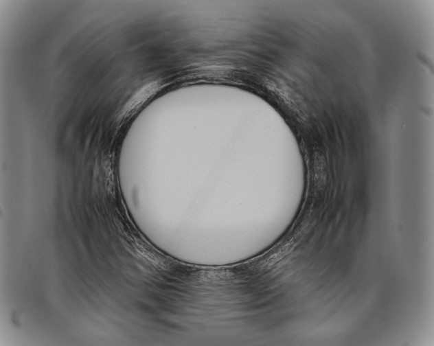 X0000097981354200804141107