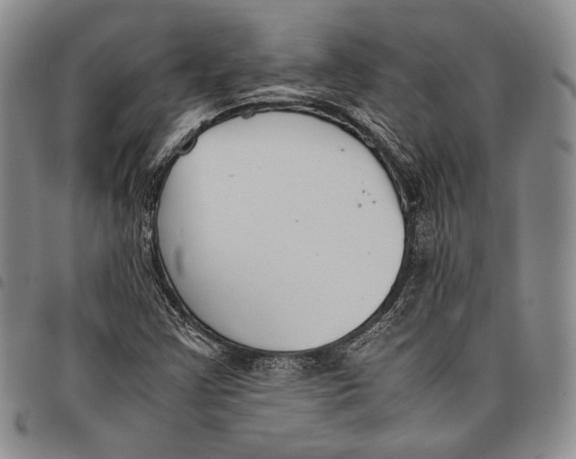 X0000097981355200804141107