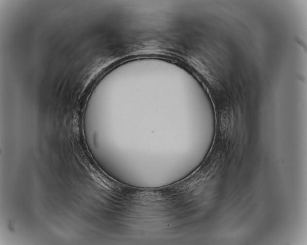 X0000097981356200804141107