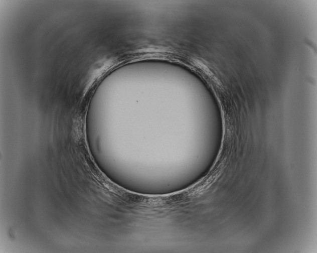 X0000097981357200804141107