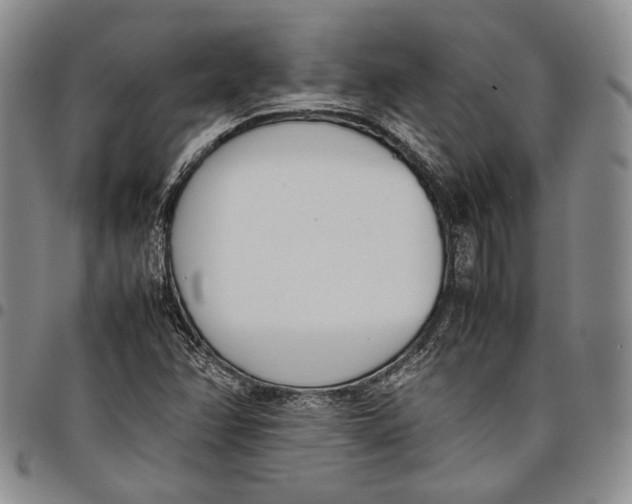 X0000097981358200804141107