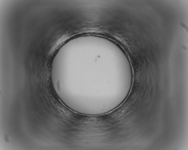 X0000097981359200804141107