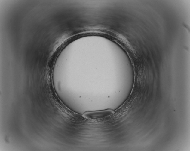 X0000097981360200804141107