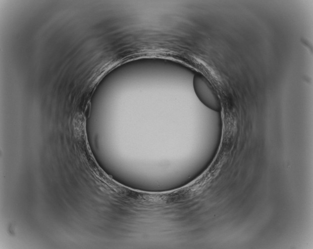 X0000097981361200804141107