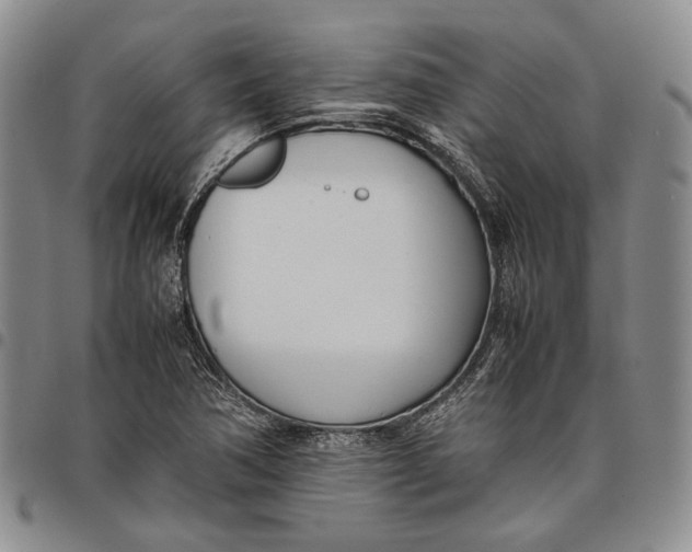 X0000097981362200804141107