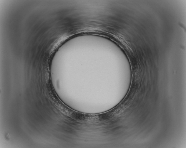 X0000097981363200804141107