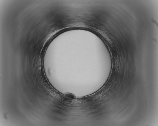 X0000097981364200804141107