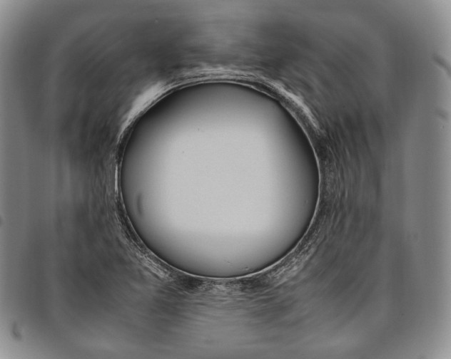 X0000097981365200804141107