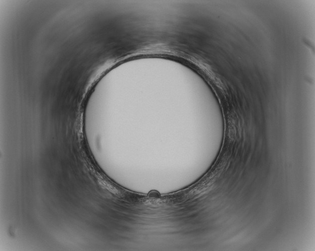 X0000097981366200804141107