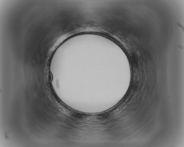 X0000097981367200804141107