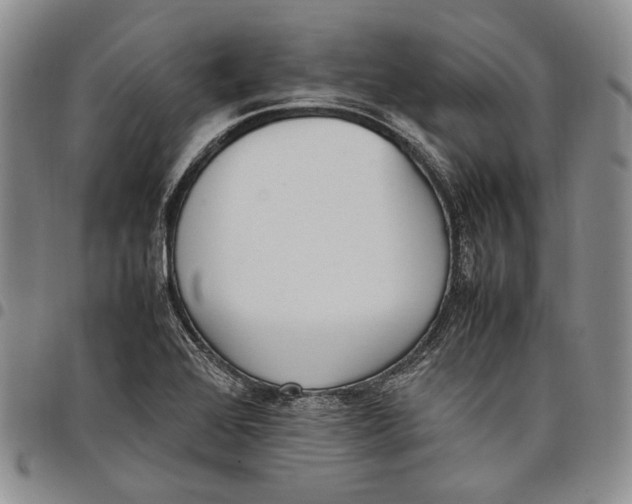 X0000097981368200804141107