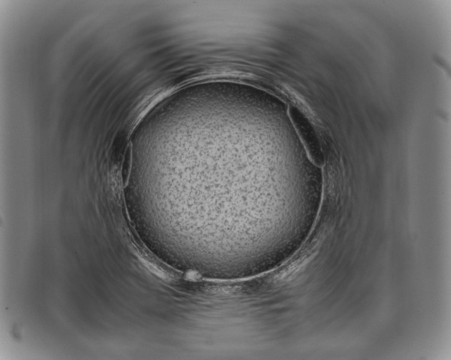 X0000097981369200804141107