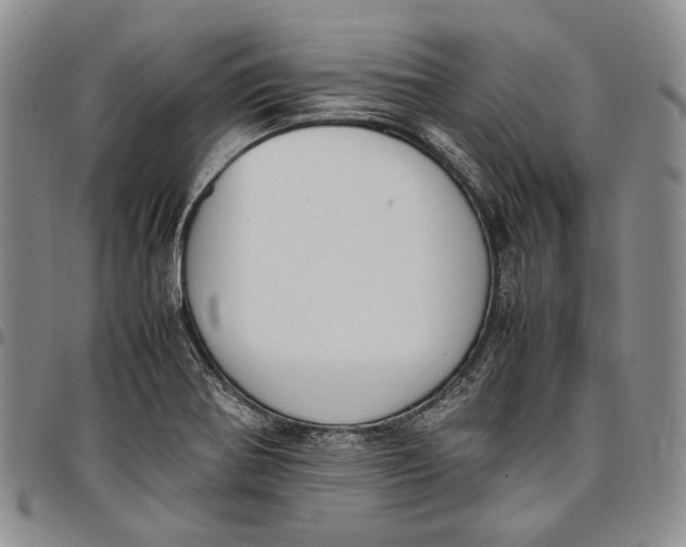 X0000097981370200804141107