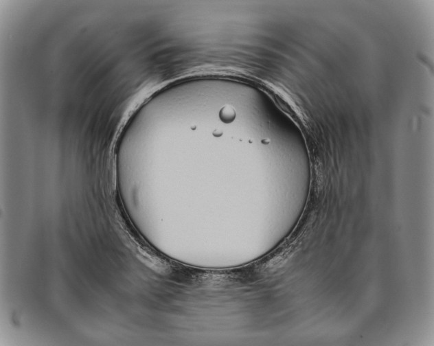 X0000097981371200804141107