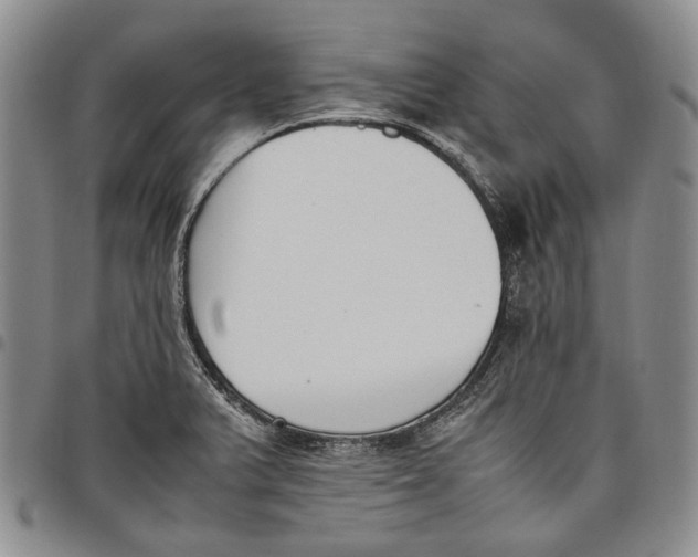 X0000097981375200804141107