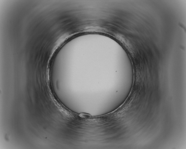 X0000097981376200804141107