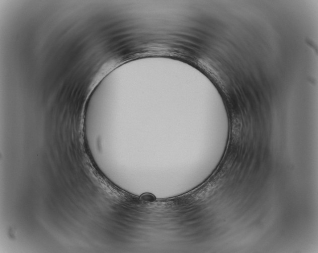 X0000097981378200804141107