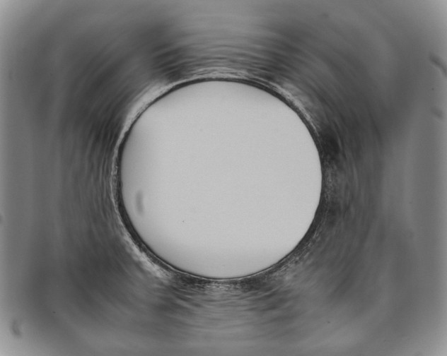 X0000097981379200804141107