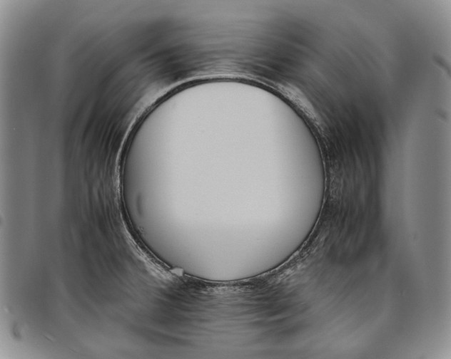 X0000097981380200804141107