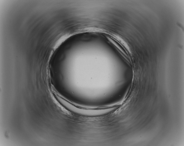 X0000097981381200804141107