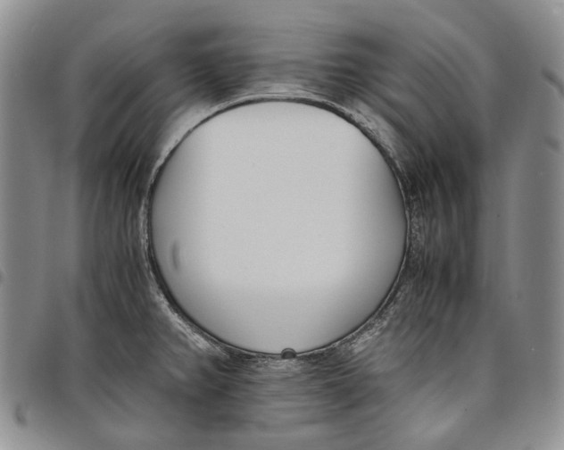 X0000097981382200804141107