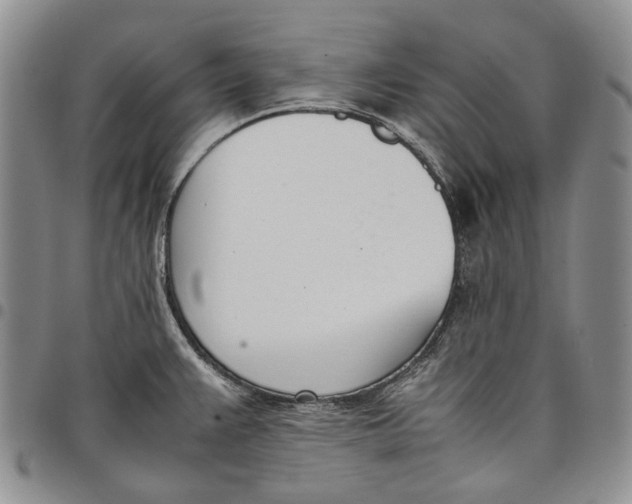 X0000097981383200804141107