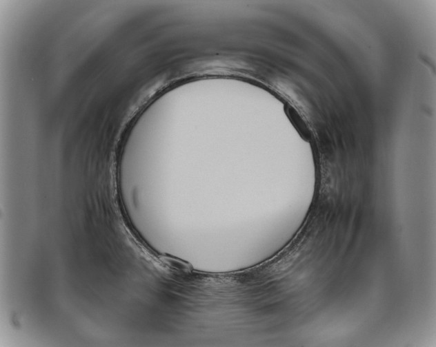 X0000097981384200804141107