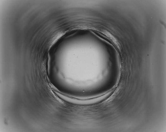 X0000097981385200804141107