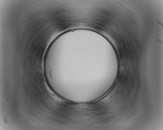 X0000097981388200804141107