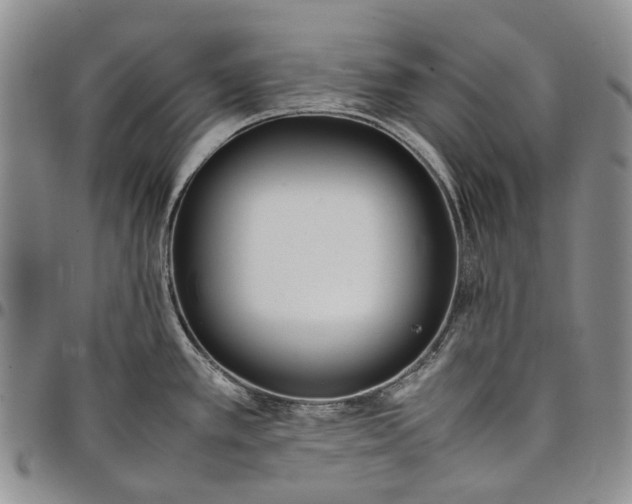 X0000097981389200804141107