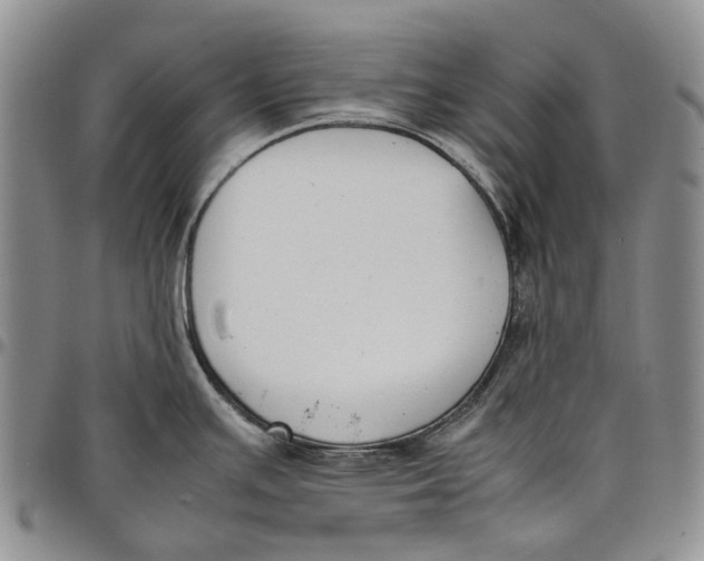 X0000097981391200804141107