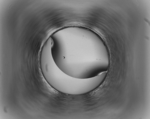 X0000097981392200804141107