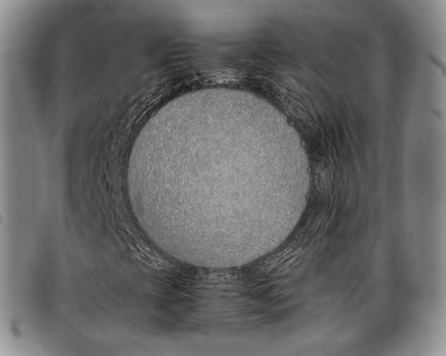 X0000097981393200804141106