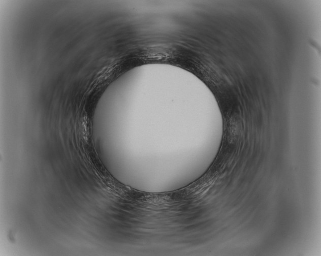 X0000097981394200804141106