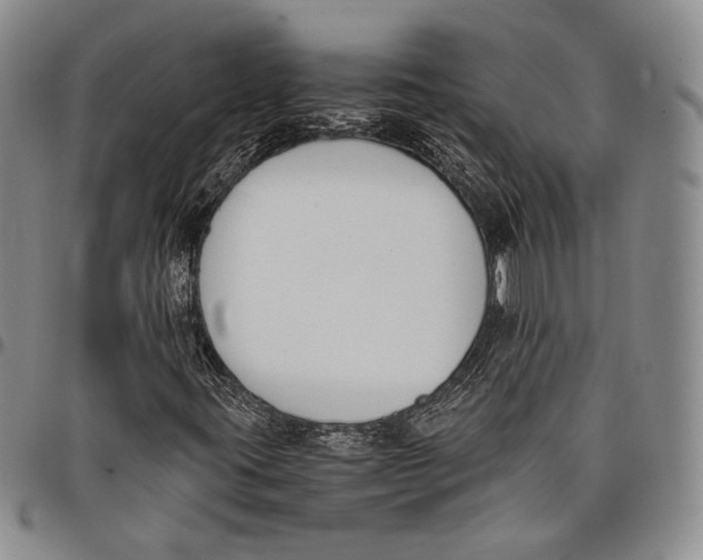 X0000097981395200804141106