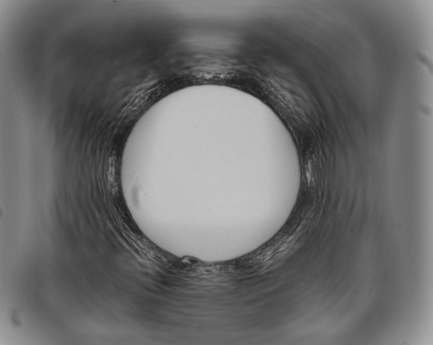 X0000097981396200804141106