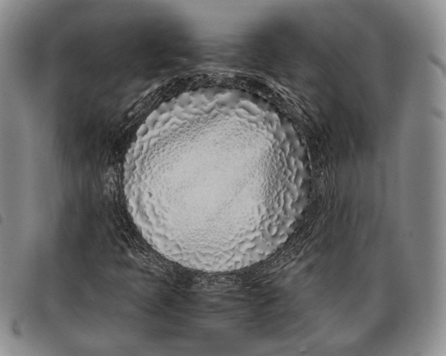 X0000097981397200804141106