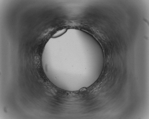 X0000097981398200804141106