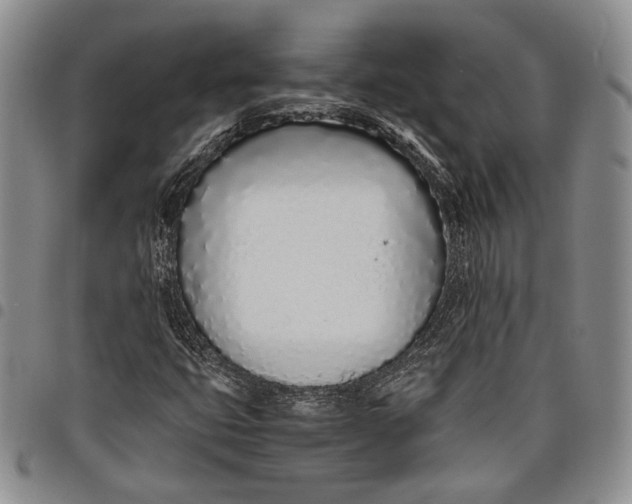 X0000097981399200804141106