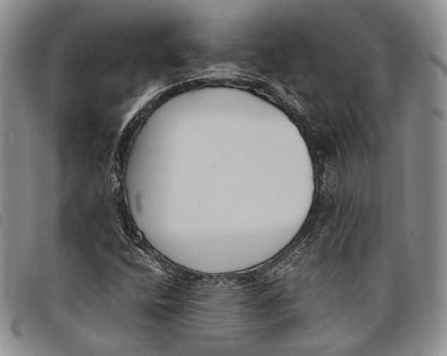 X0000097981400200804141106