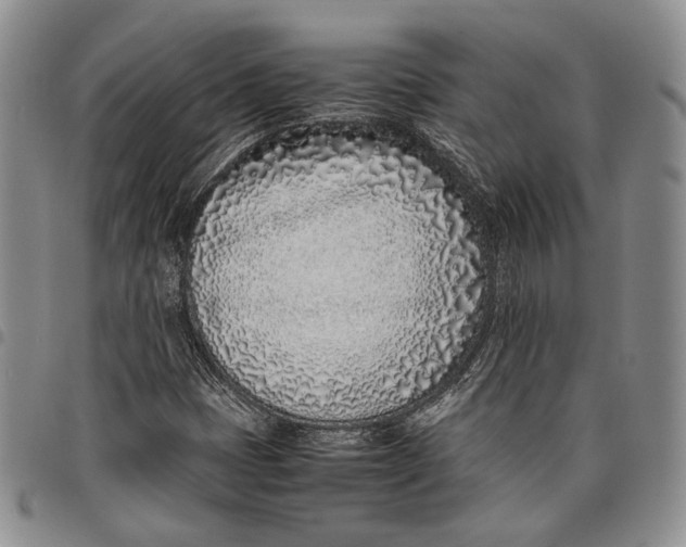 X0000097981401200804141106