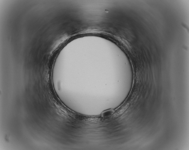 X0000097981406200804141106