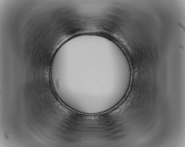 X0000097981409200804141106