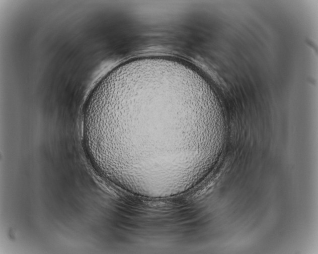 X0000097981413200804141107