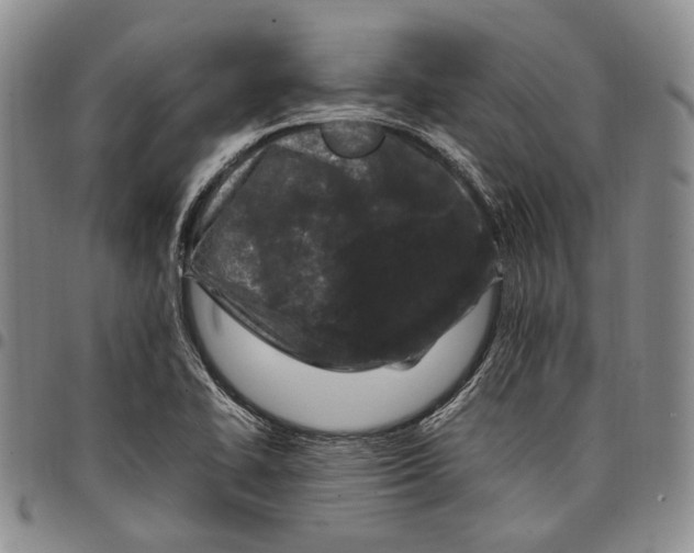 X0000097981414200804141107