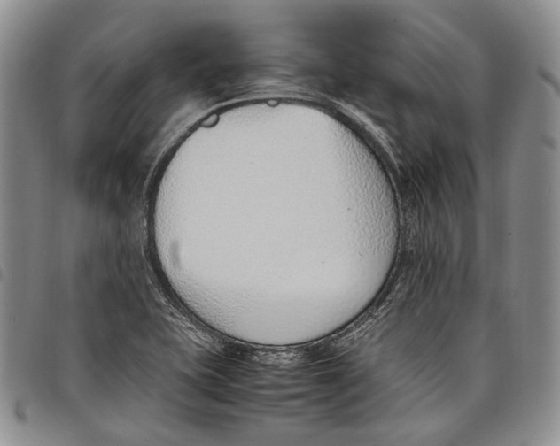 X0000097981415200804141107