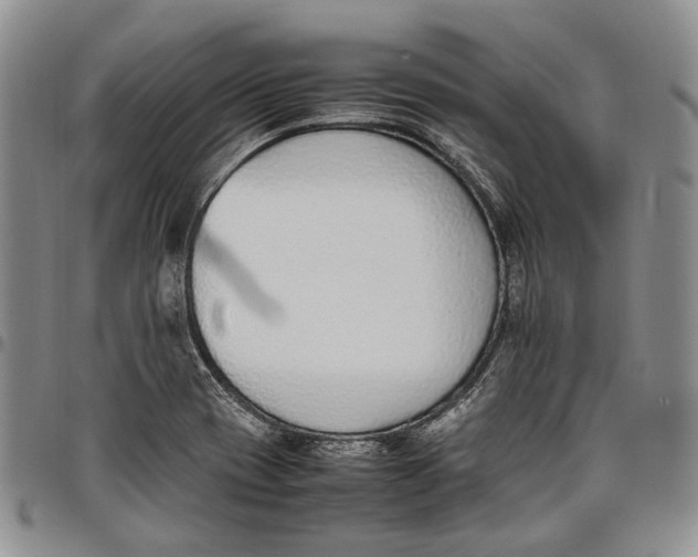 X0000097981417200804141107