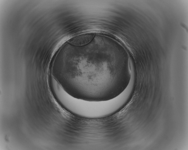 X0000097981418200804141107